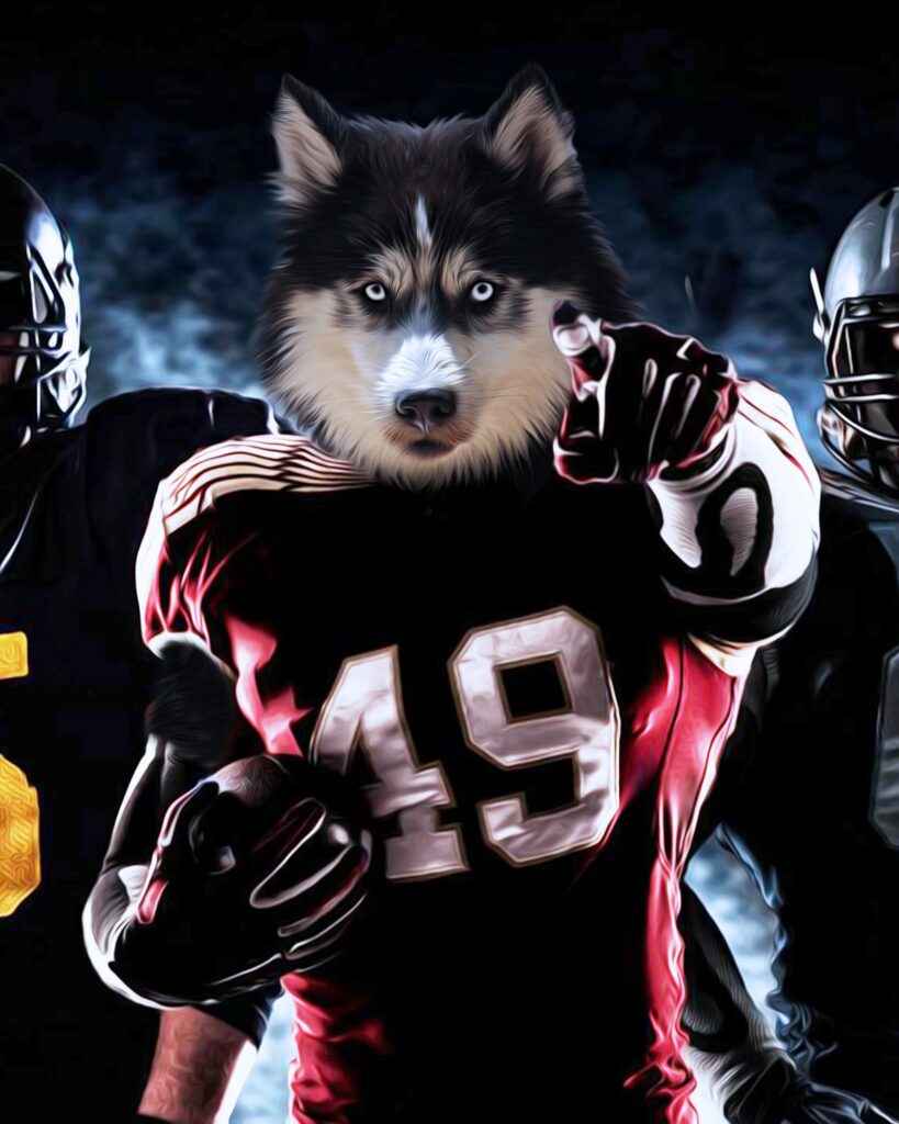 dog american football outfit