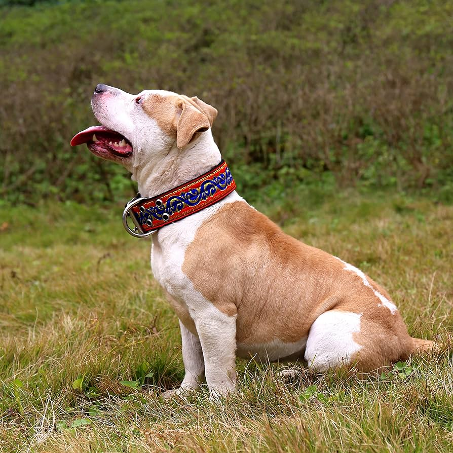 american flag dog collar