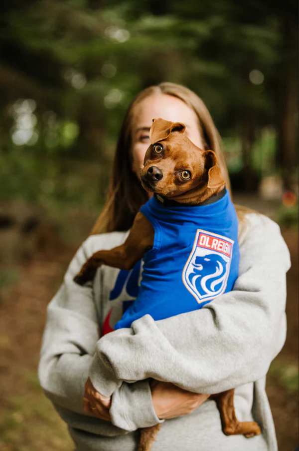 american football dog costume