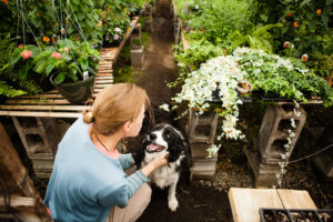 how much is the farmer's dog per week