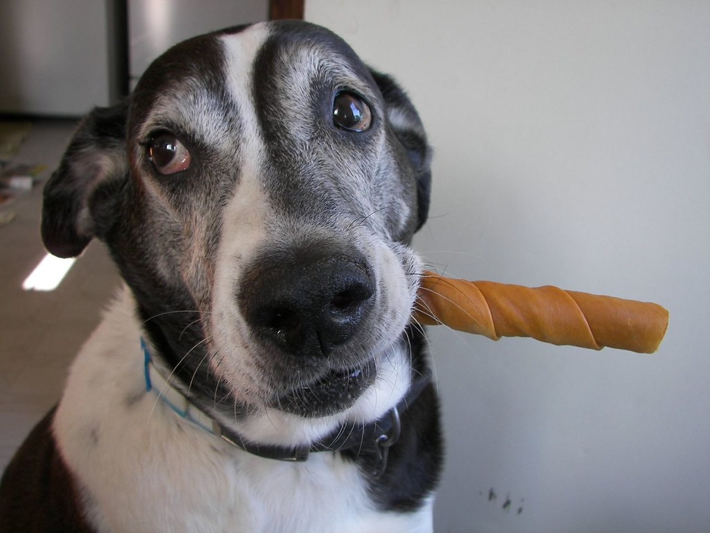 are bully sticks safe for dogs