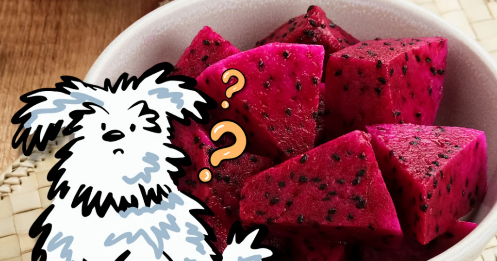 can dogs eat dragon fruit