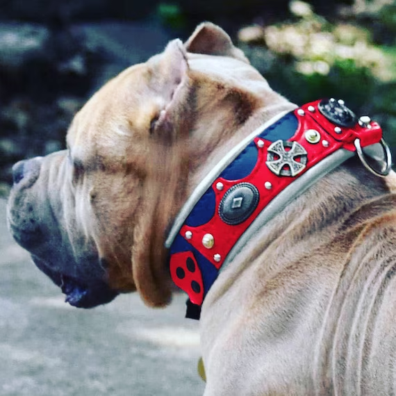 dog collars for american bullies